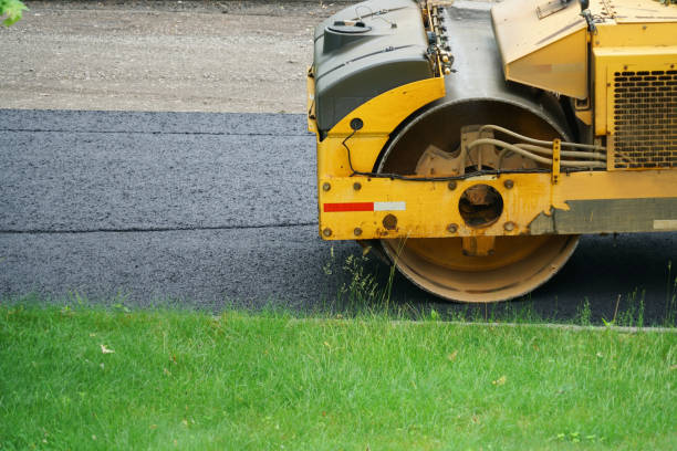Best Best Driveway Pavers  in Martinsvle, IL